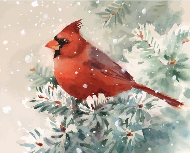 Malen nach Zahlen fŸr Erwachsene |ÊRoter Vogel im Schnee | Figured'Art