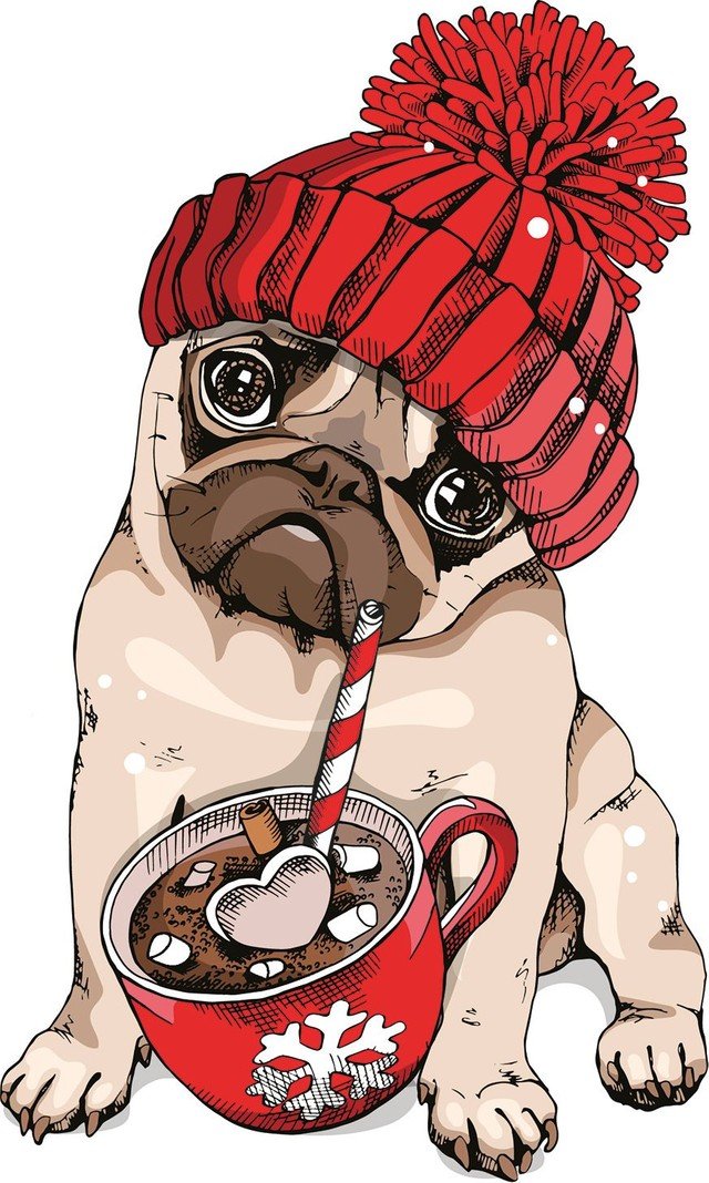 Malen nach Zahlen fŸr Erwachsene |ÊHund und Tasse | Figured'Art