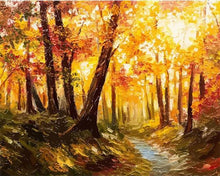 Laden Sie das Bild in den Galerie-Viewer, Malen nach Zahlen Erwachsene Licht im Wald Figured&#39;Art