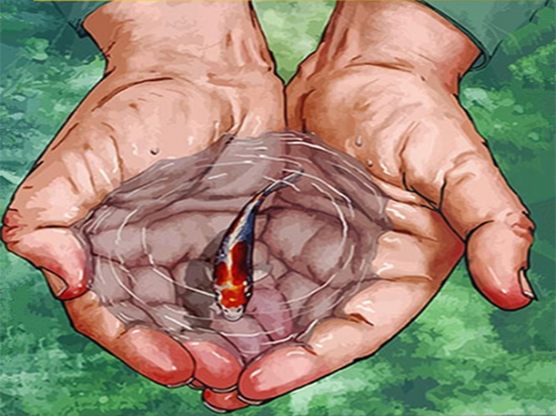 Malen nach Zahlen fŸr Erwachsene |ÊKleine Fische in den Händen | Figured'Art