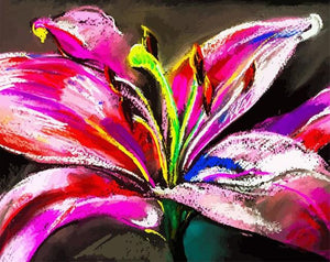 Malen nach Zahlen fŸr Erwachsene |ÊFarbige Blume | Figured'Art