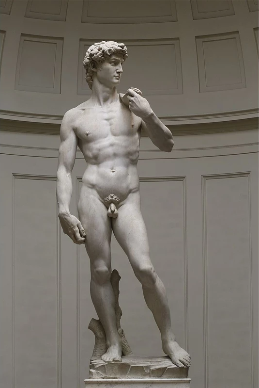Malen nach Zahlen fŸr Erwachsene |ÊStatue eines Mannes | Figured'Art