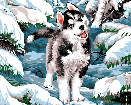 Malen nach Zahlen für Erwachsene | Husky im Schnee | Figured'Art