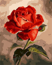 Laden Sie das Bild in den Galerie-Viewer, Malen nach Zahlen für Erwachsene | Schöne rote Rosen | Figured&#39;Art