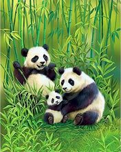 Laden Sie das Bild in den Galerie-Viewer, Malen nach Zahlen für Erwachsene | Pandafamilie | Figured&#39;Art