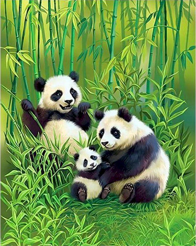 Malen nach Zahlen für Erwachsene | Pandafamilie | Figured'Art