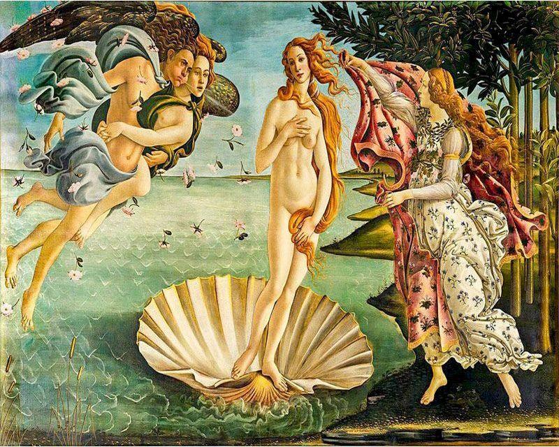 Malen nach Zahlen für Erwachsene | Die Geburt der Venus – Botticelli | Figured'Art