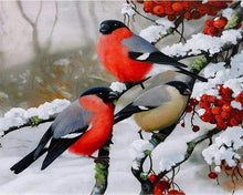 Laden Sie das Bild in den Galerie-Viewer, Malen nach Zahlen für Erwachsene | Rote Vögel 2 | Figured&#39;Art