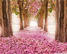 Laden Sie das Bild in den Galerie-Viewer, Malen nach Zahlen für Erwachsene | Weg im Frühling 2 | Figured&#39;Art