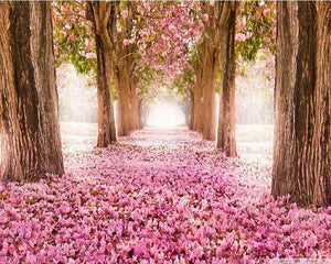 Malen nach Zahlen für Erwachsene | Weg im Frühling 2 | Figured'Art