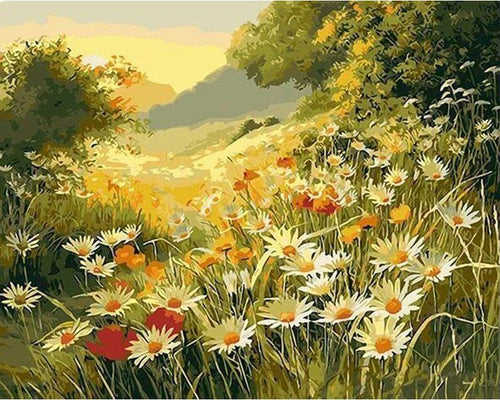 Malen nach Zahlen für Erwachsene | Blumen im Feld | Figured'Art