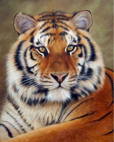 Malen nach Zahlen für Erwachsene | Fuchs und Tiger | Figured'Art