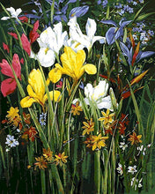 Laden Sie das Bild in den Galerie-Viewer, Malen nach Zahlen für Erwachsene | Zwischen den Blumen | Figured&#39;Art
