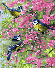 Laden Sie das Bild in den Galerie-Viewer, Malen nach Zahlen – Drei Vögel auf blühenden Zweigen