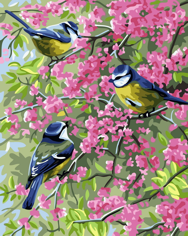 Malen nach Zahlen – Drei Vögel auf blühenden Zweigen