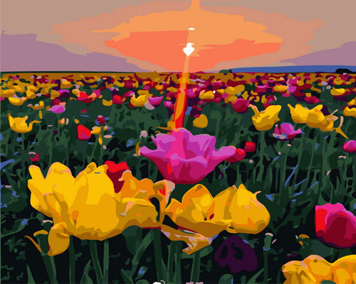 Malen nach Zahlen – Sonnenuntergang und Blumenfelder