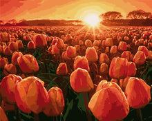 Laden Sie das Bild in den Galerie-Viewer, Malen nach Zahlen – Tulpen beim Sonnenaufgang