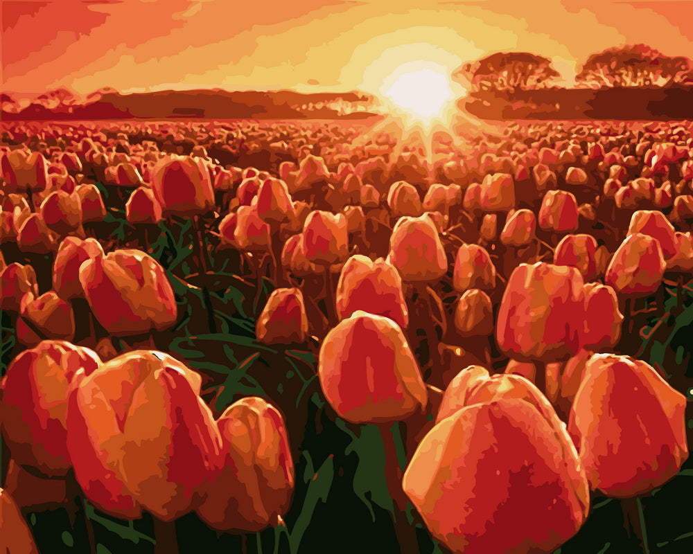Malen nach Zahlen – Tulpen beim Sonnenaufgang