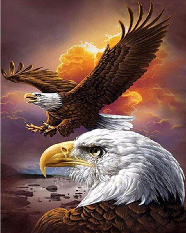 Malen nach Zahlen – Der amerikanische Adler