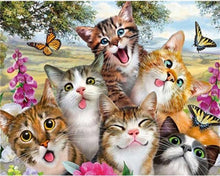 Laden Sie das Bild in den Galerie-Viewer, Malen nach Zahlen – Die Familie der Katzen