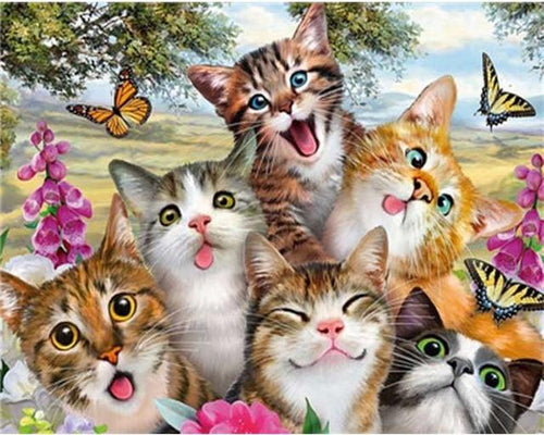 Malen nach Zahlen – Die Familie der Katzen