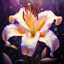 Laden Sie das Bild in den Galerie-Viewer, Mini Diamond Painting 25 x 25 cm - Lilienblüte