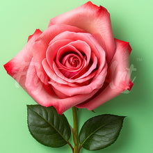 Laden Sie das Bild in den Galerie-Viewer, Mini Diamond Painting 25 x 25 cm - Atemberaubende Rosa Rose