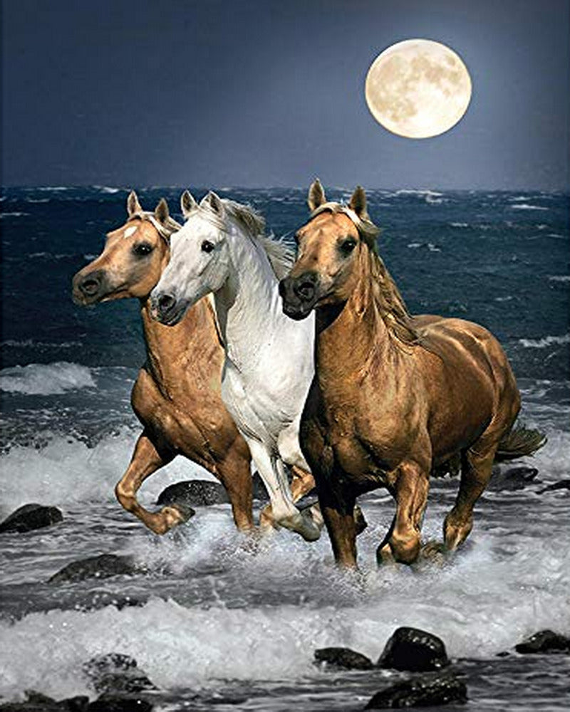 Diamond Painting – Pferde an der Küste