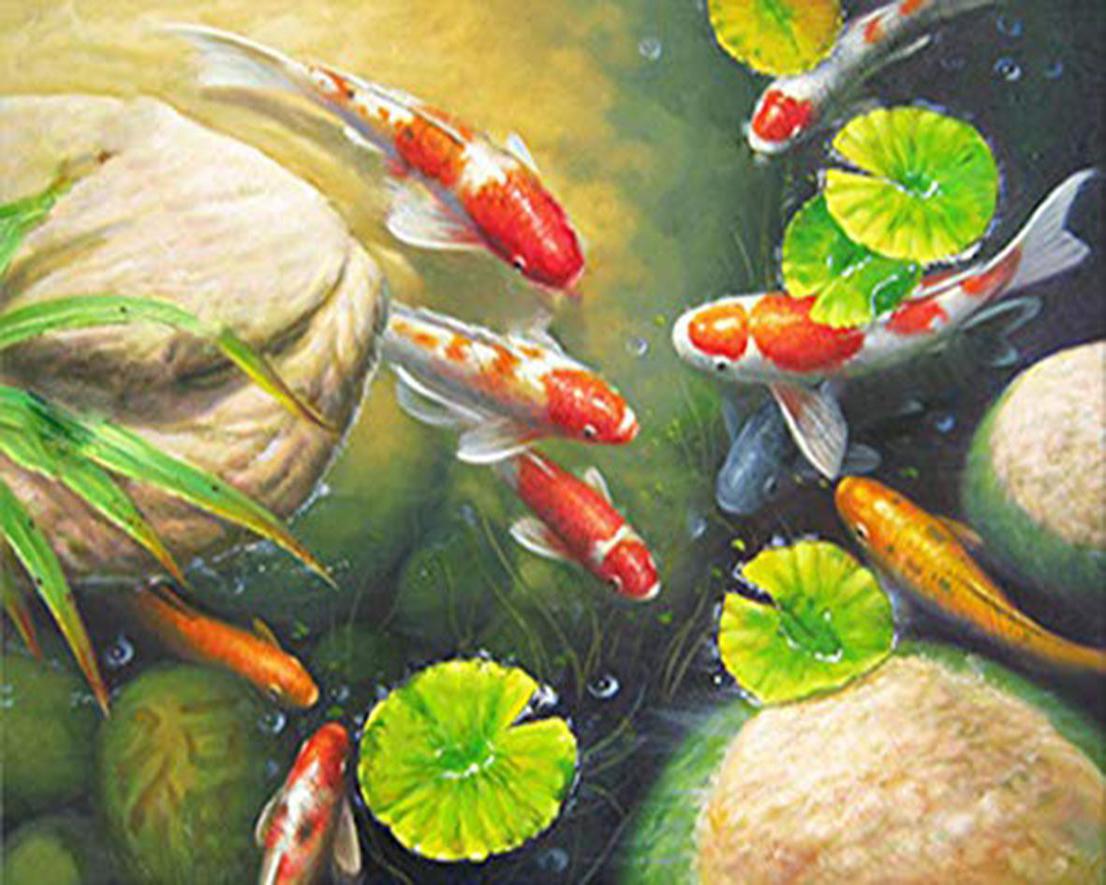 Diamond Painting – Koi Karpfen im Teich – Figured'Art