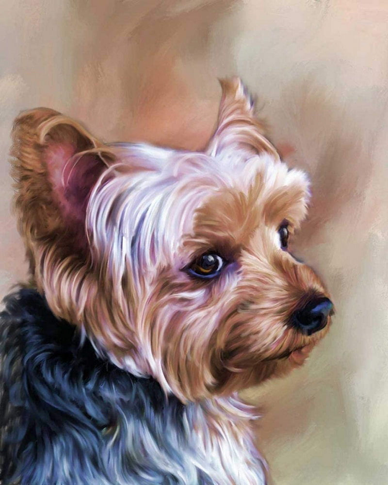 Diamond Painting – Porträt eines kleinen Hundes