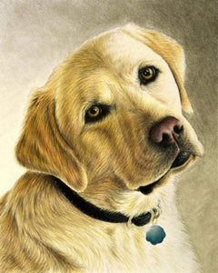 Diamond Painting – Porträt eines Labradors