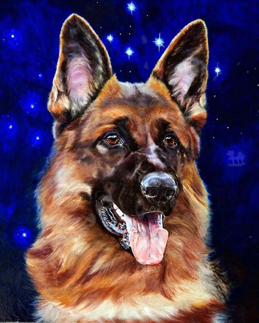 Diamond Painting – Deutscher Schäferhund 2 | Figured'Art
