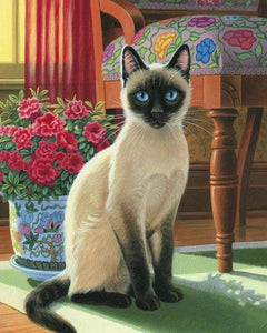 Diamond Painting – Blauäugige Katze | Figured'Art