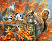 Laden Sie das Bild in den Galerie-Viewer, Malen nach Zahlen für Erwachsene | Verspieltes Eichhörnchen | Figured&#39;Art