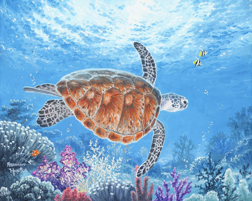 Malen nach Zahlen für Erwachsene | Schildkröte auf einer Ballade | Figured'Art