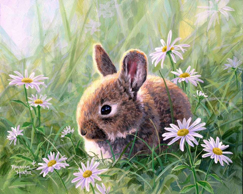 Malen nach Zahlen für Erwachsene | Kaninchen und Gänseblümchen | Figured'Art