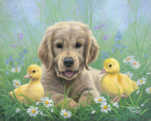 Laden Sie das Bild in den Galerie-Viewer, Malen nach Zahlen für Erwachsene | Labrador und Küken | Figured&#39;Art