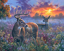 Laden Sie das Bild in den Galerie-Viewer, Malen nach Zahlen für Erwachsene | Reh Pärchen | Figured&#39;Art