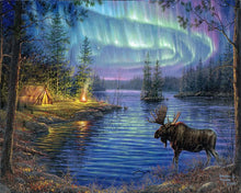 Laden Sie das Bild in den Galerie-Viewer, Malen nach Zahlen für Erwachsene | Elch und Aurora Borealis | Figured&#39;Art