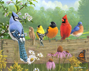 Malen nach Zahlen für Erwachsene | Vögel am Zaun | Figured'Art