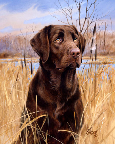 Malen nach Zahlen für Erwachsene | Labrador | Figured'Art