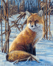 Laden Sie das Bild in den Galerie-Viewer, Malen nach Zahlen für Erwachsene | Fuchs im Schnee | Figured&#39;Art