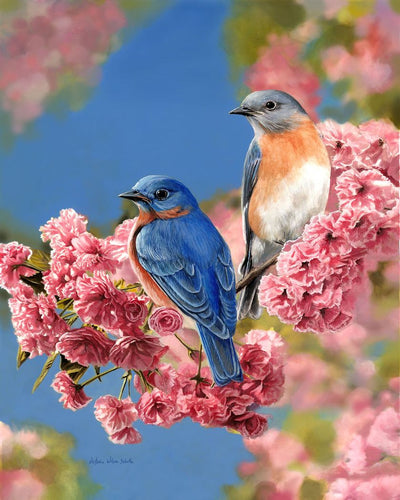 Malen nach Zahlen für Erwachsene | Blaues Vogelpärchen | Figured'Art