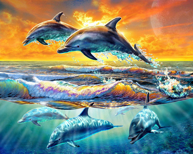 Malen nach Zahlen – Delfine im Sonnenuntergang
