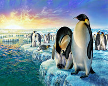 Laden Sie das Bild in den Galerie-Viewer, Malen nach Zahlen – Pinguine auf Eisschollen