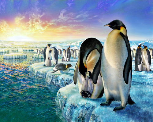 Malen nach Zahlen – Pinguine auf Eisschollen