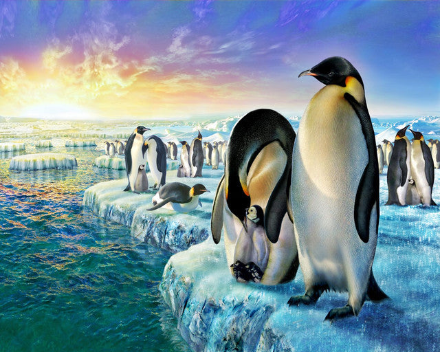 Malen nach Zahlen – Pinguine auf Eisschollen