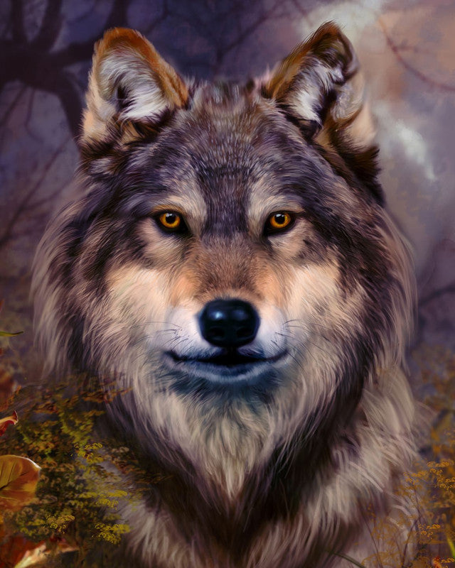 Malen nach Zahlen – Wolf Portrait