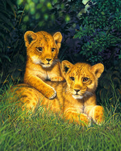 Laden Sie das Bild in den Galerie-Viewer, Malen nach Zahlen – Junge Löwen