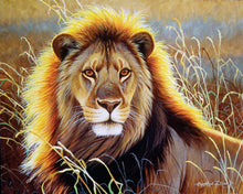 Laden Sie das Bild in den Galerie-Viewer, Malen nach Zahlen – Löwe in der Savanne